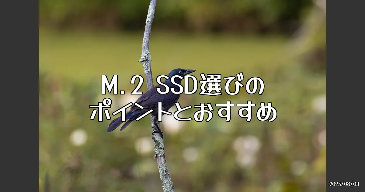 EyeCatch:M.2 SSD選びの旅！俺のおすすめモデルと使い方