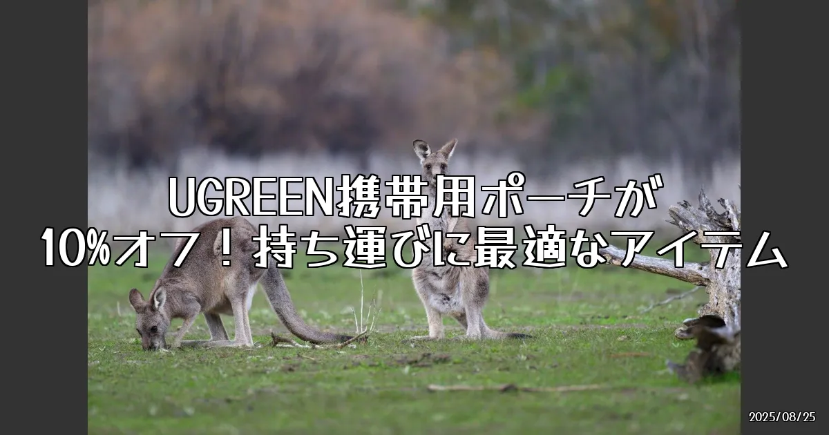 EyeCatch:UGREENの携帯用ガジェットポーチが今アツい！