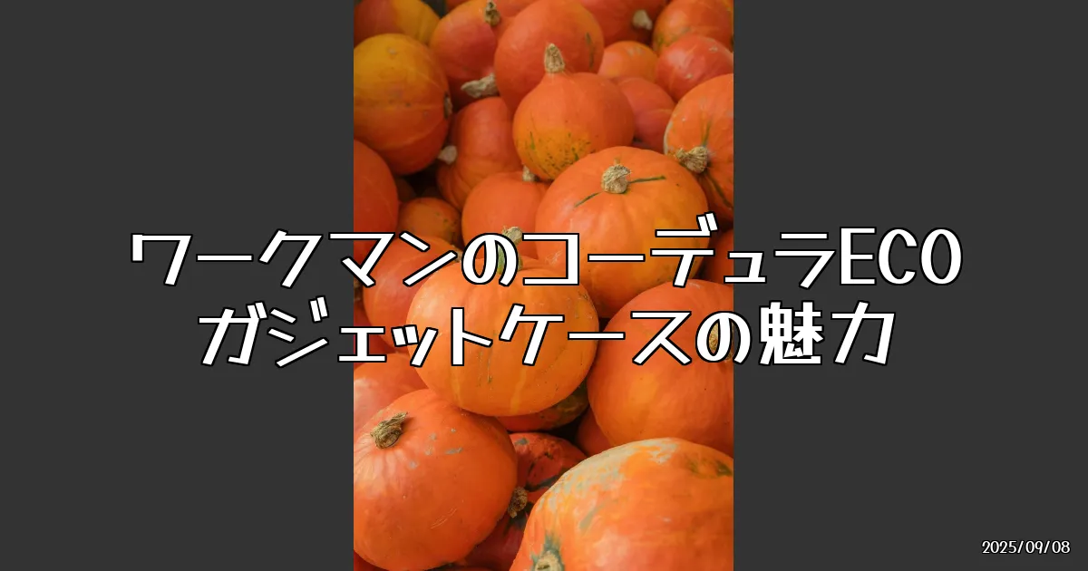 EyeCatch:ワークマンの「コーデュラECOガジェットケース」を徹底レビュー！