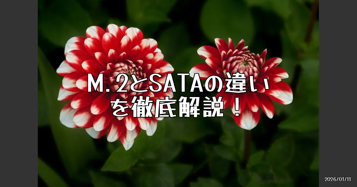 EyeCatch:M.2とSATAの違いを徹底解説！使ってみたリアルな感想